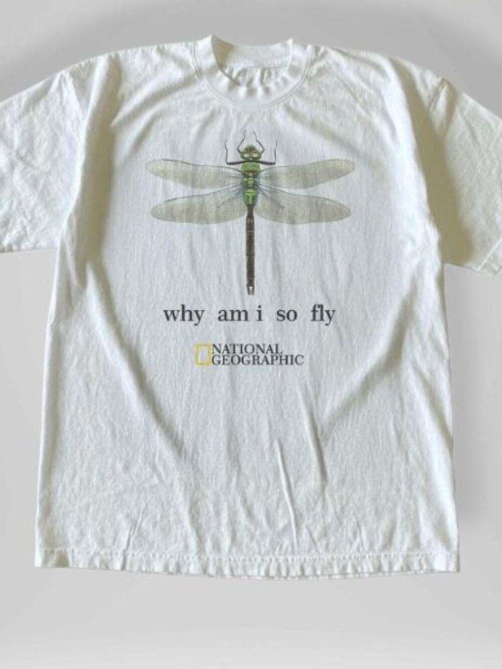 National Geographic Dragonfly Heavy Cotton Tee